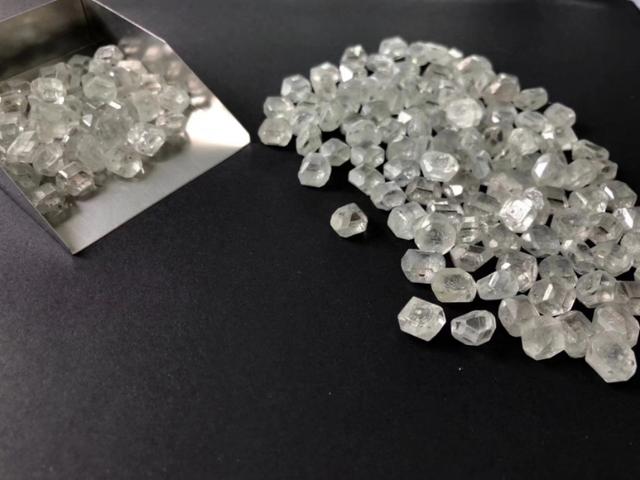 疫情当下，培育钻二月份出货仍暴涨60%