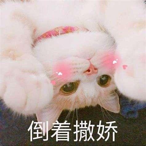 王者荣耀：官方公布S18段位占比图，钻石段位占比最高