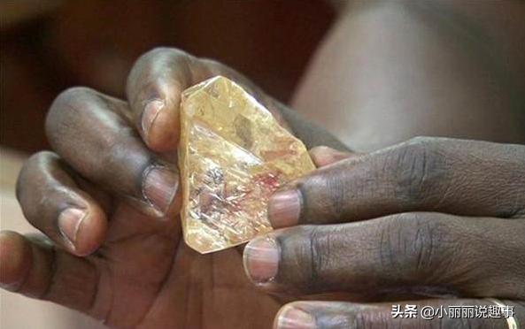 非洲发现“钻石草”，埋藏着大量钻石矿，很多人因此一夜暴富