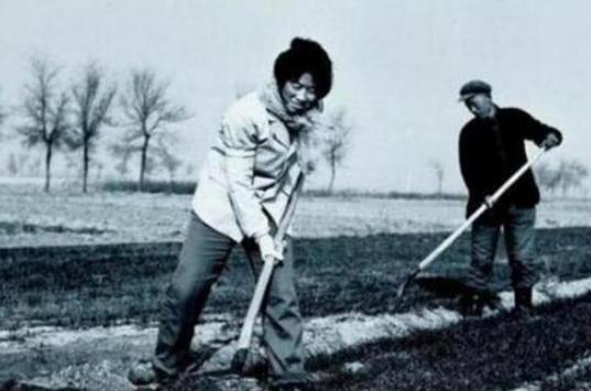 1994年，农妇挖出钻石，27万卖掉被告上法庭，最后获得三万奖金
