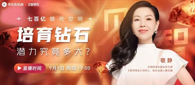 直播预告｜七百亿替代空间，培育钻石潜力究竟多大？